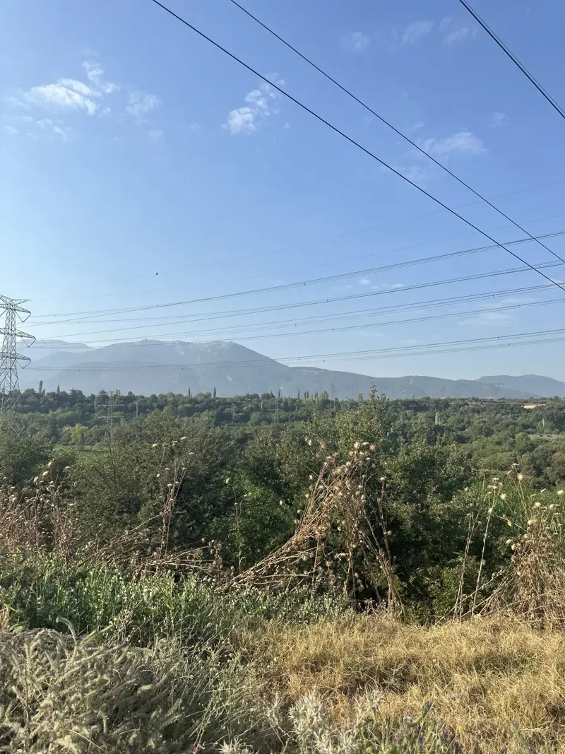 Denizli, Honaz, Satılık, Tarla — fotoğraf 2