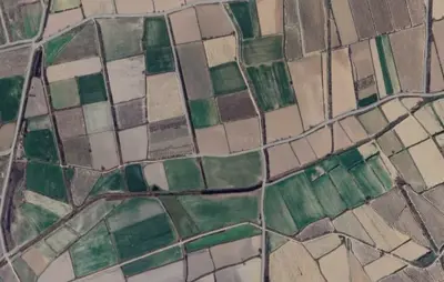 Denizli, Pamukkale, Tarla