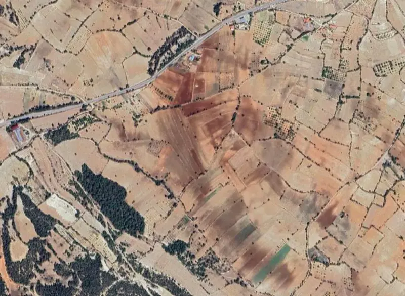 2002.jpg