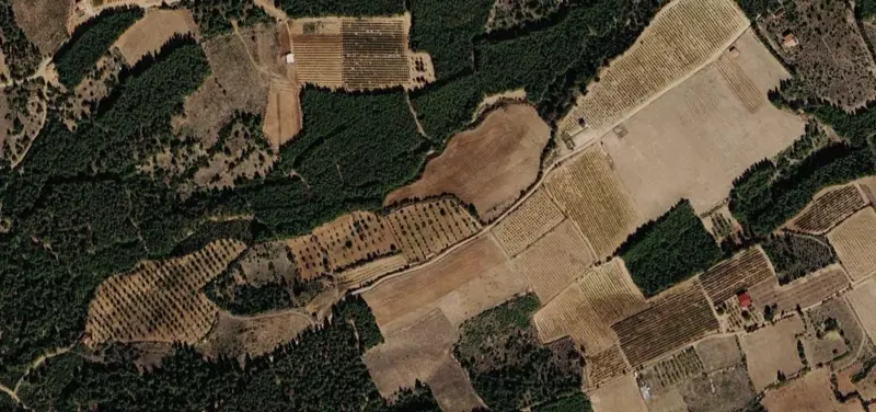 617.jpg