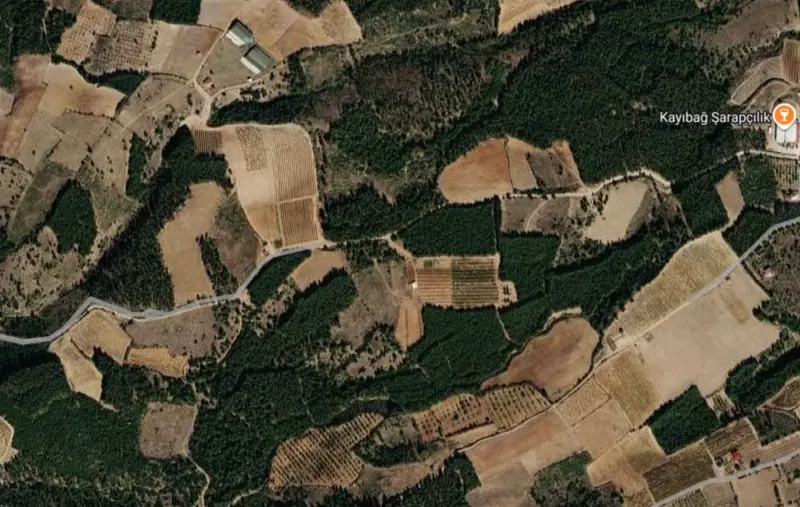 İsmailler Mah., Satılık, Tarla, 7.556 m² — fotoğraf 2