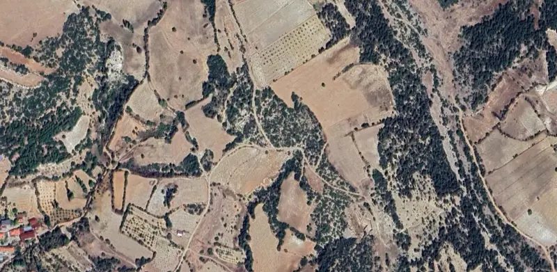 1685.jpg