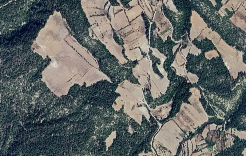 Eğmir Mah., Satılık, Tarla, 9.391 m² — fotoğraf 2
