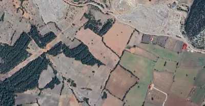 Denizli, Pamukkale, Satılık, Tarla