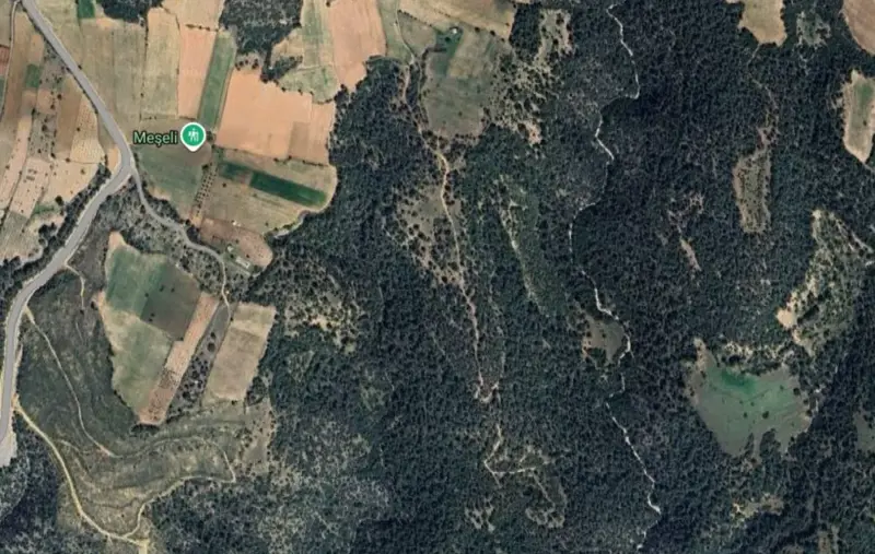 Güzelpınar Mah., Satılık, Tarla, 6.118 m² — fotoğraf 1