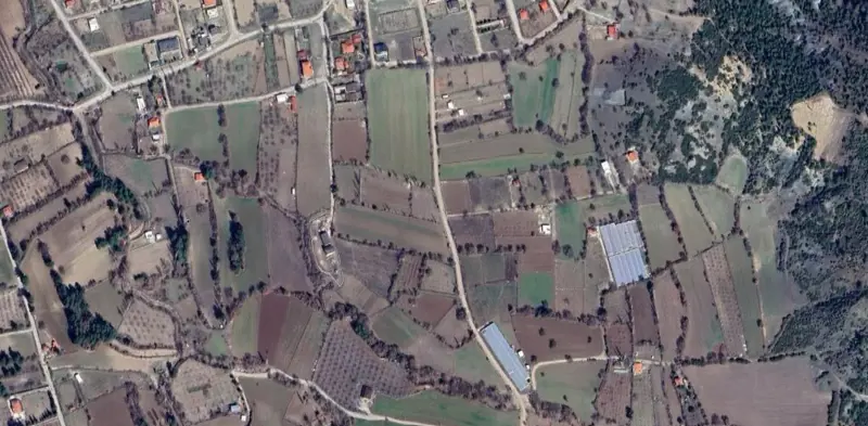 1663.jpg