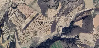 Denizli, Pamukkale, Satılık, Tarla