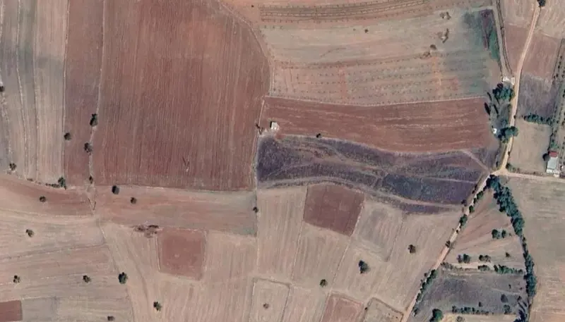 531.jpg