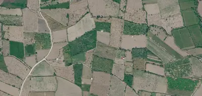 Denizli, Honaz, Satılık, Tarla