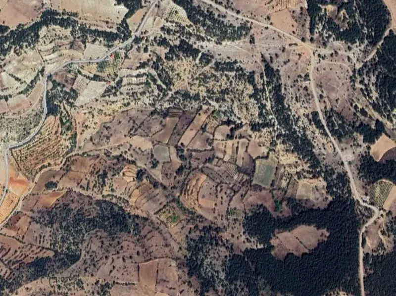 1936.jpg