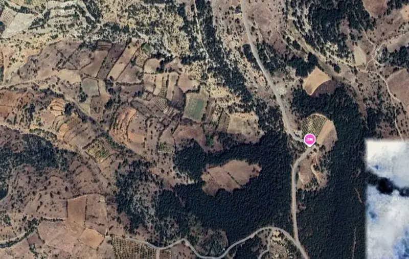 Güzelpınar Mah., Satılık, Tarla, 4.485 m² — fotoğraf 2