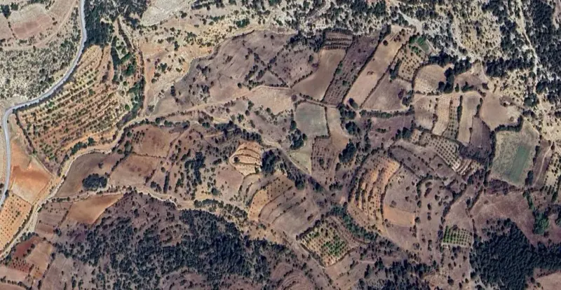 870.jpg