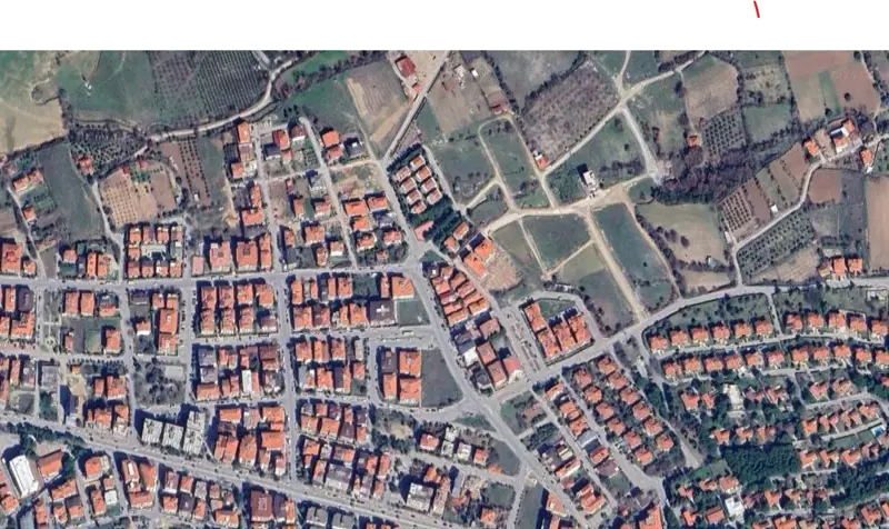 376.jpg