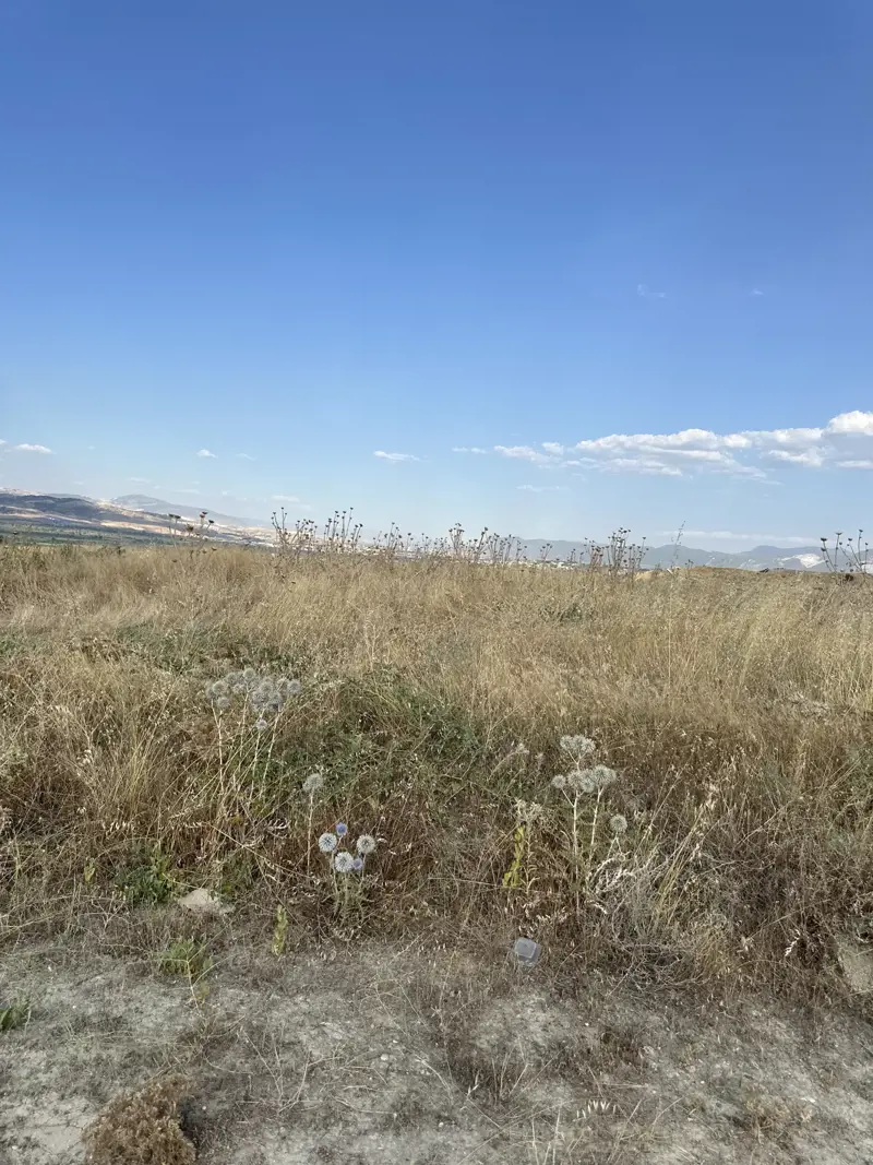 Kale Mah., Satılık, Arsa, 3.752 m² — fotoğraf 2