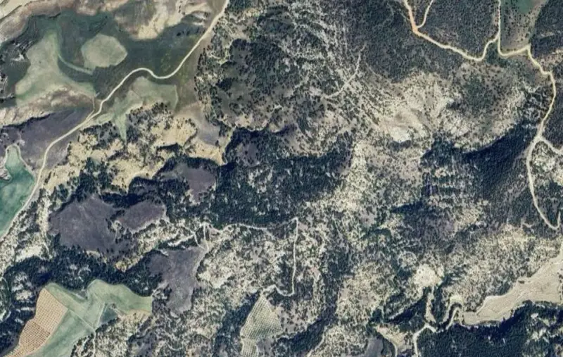 Denizli Pamukkale, Güzelpınar, 20193 m², Tarla — fotoğraf 1