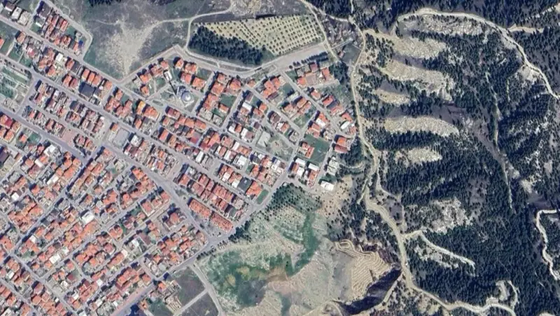 212.jpg