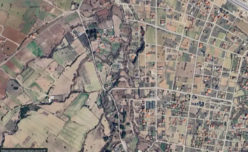 2174.jpg