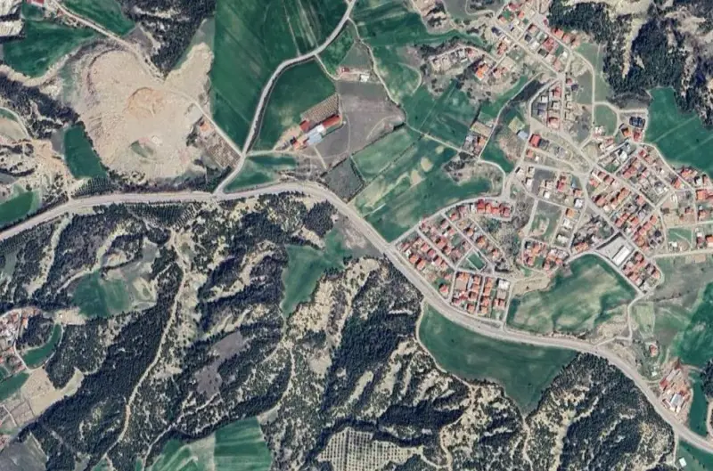 2181.jpg