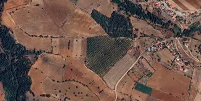 Denizli, Çal, Satılık, Tarla