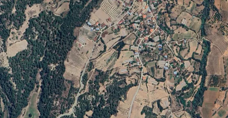 1253.jpg