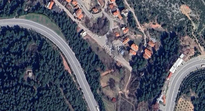 251.jpg