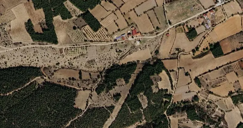 141.jpg