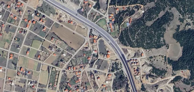 1193.jpg