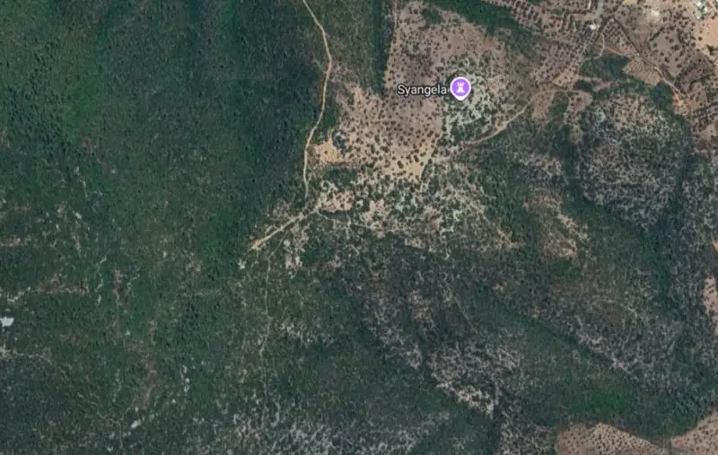 bolge-uydu-gorseli.png