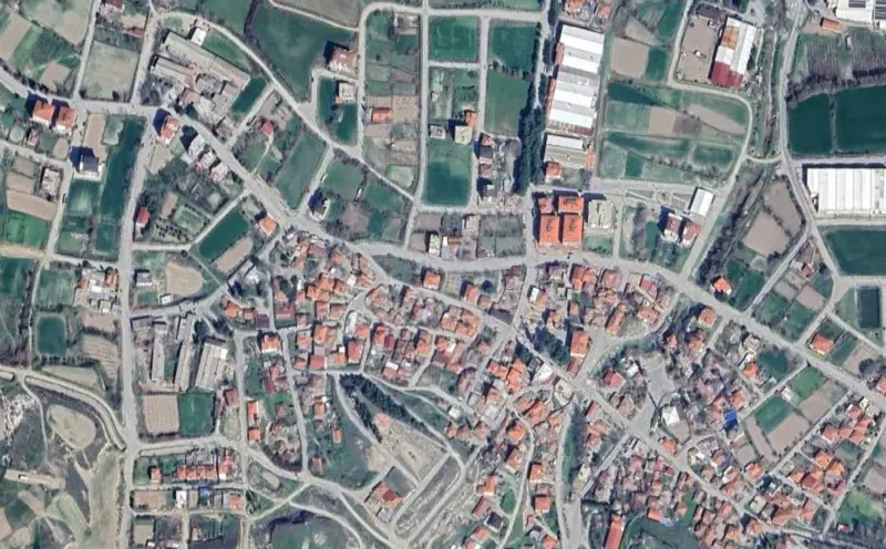 272.jpg