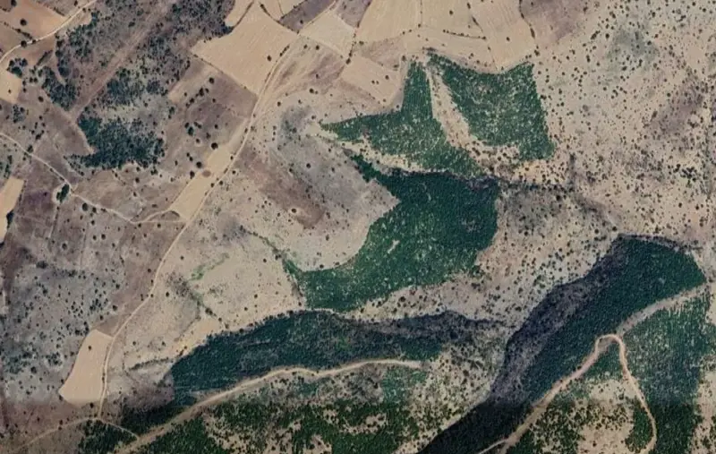 Sarılar Mah., Satılık, Tarla, 14.951 m² — fotoğraf 2