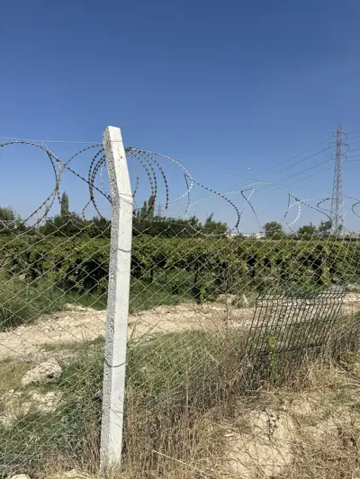 ORGANİZEYE ÇOK YAKIN TARLA