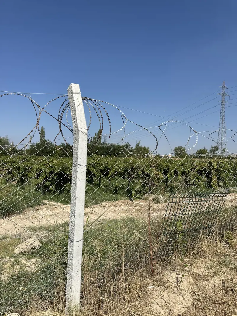 ORGANİZEYE ÇOK YAKIN TARLA — fotoğraf 1