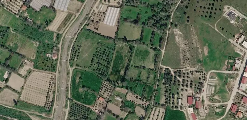 1542.jpg