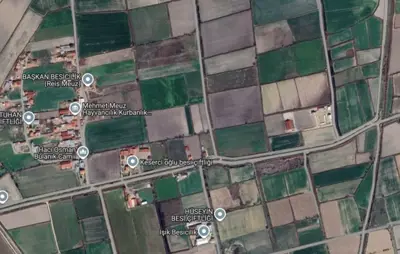 Denizli, Yukarışamlı, Tarla