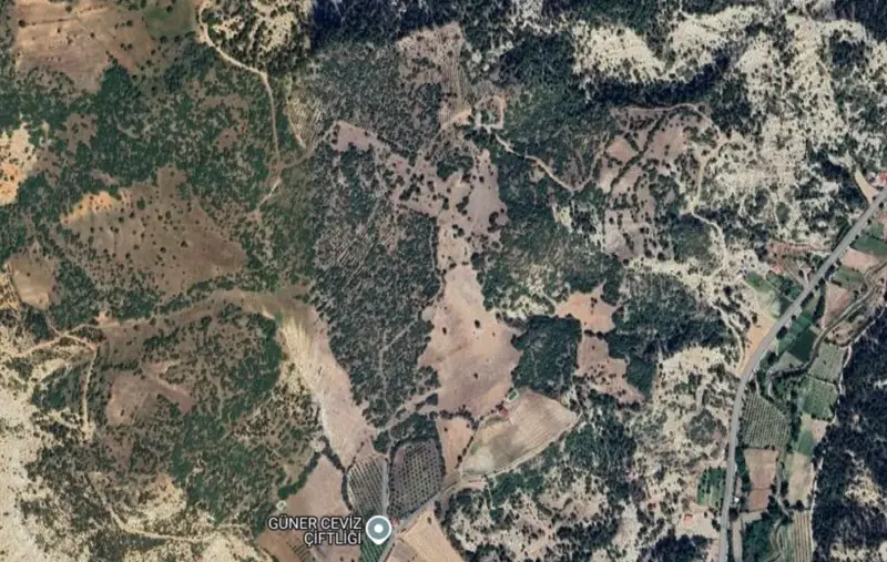 Kocapınar Mah., Satılık, Tarla, 4.497 m² — fotoğraf 2