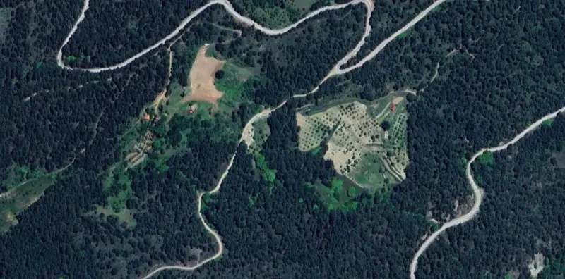 1090.jpg