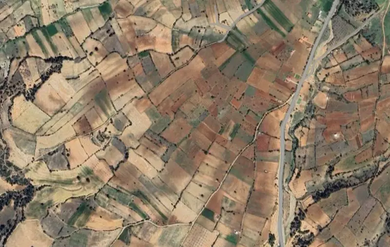Güzelpınar Mah., Satılık, Tarla, 1.616 m² — fotoğraf 1