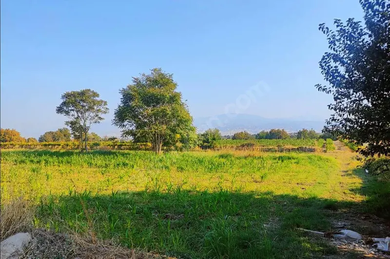 Cankurtran tunelın cıkısında acıll satılık tarla   — fotoğraf 2