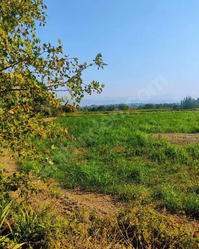 Cankurtran tunelın cıkısında acıll satılık tarla   — fotoğraf 3