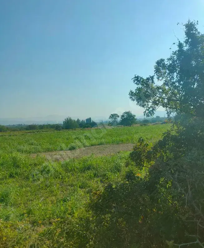 Cankurtran tunelın cıkısında acıll satılık tarla   — fotoğraf 4