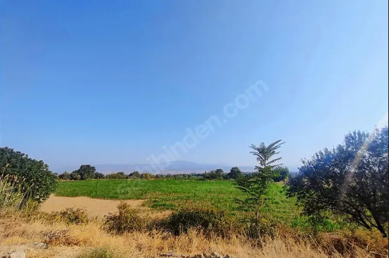 Cankurtran tunelın cıkısında acıll satılık tarla   — fotoğraf 6