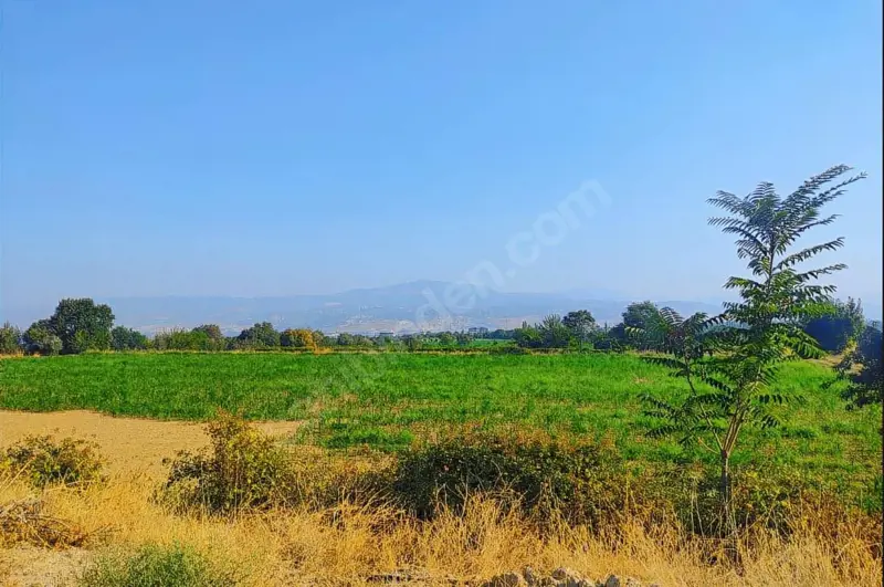 Cankurtran tunelın cıkısında acıll satılık tarla   — fotoğraf 7