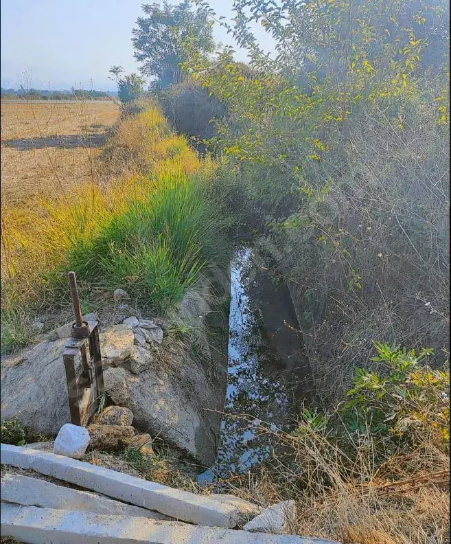 Cankurtran tunelın cıkısında acıll satılık tarla   — fotoğraf 8