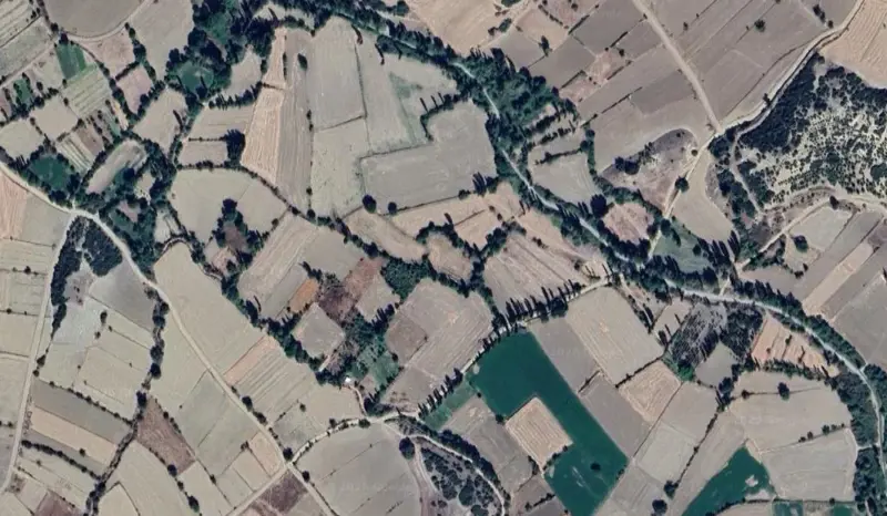 157.jpg