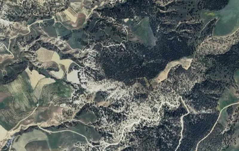 Güzelpınar Mah., Satılık, Tarla, 15.578 m² — fotoğraf 1