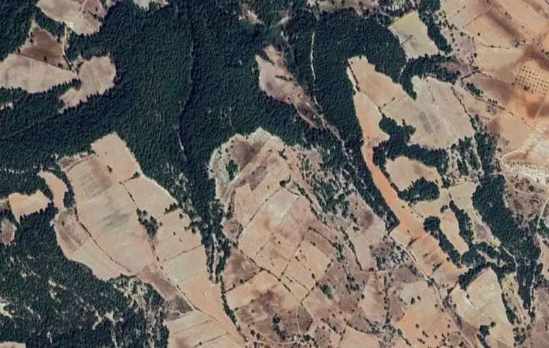Uzunpınar Mah., Satılık, Tarla, 16.324 m² — fotoğraf 2