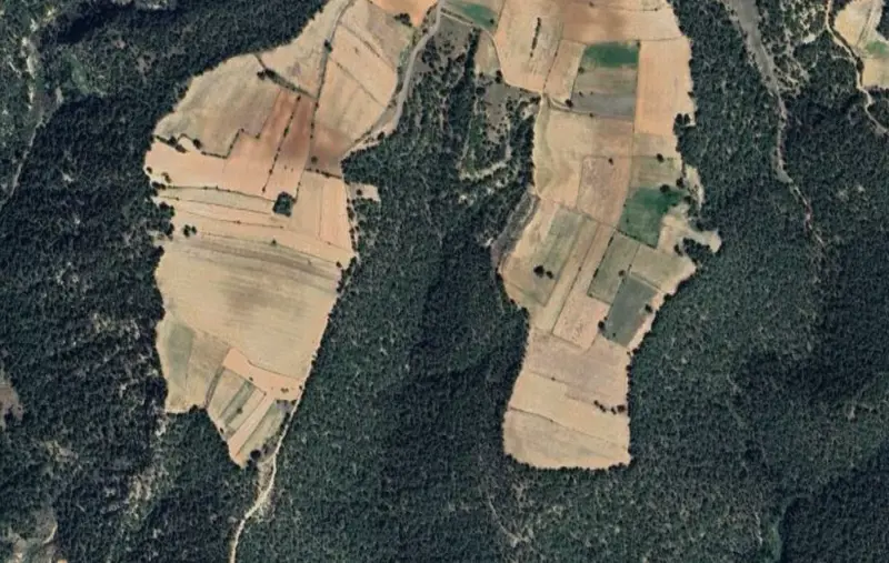 Güzelpınar Mah., Satılık, Tarla, 9.164 m² — fotoğraf 2