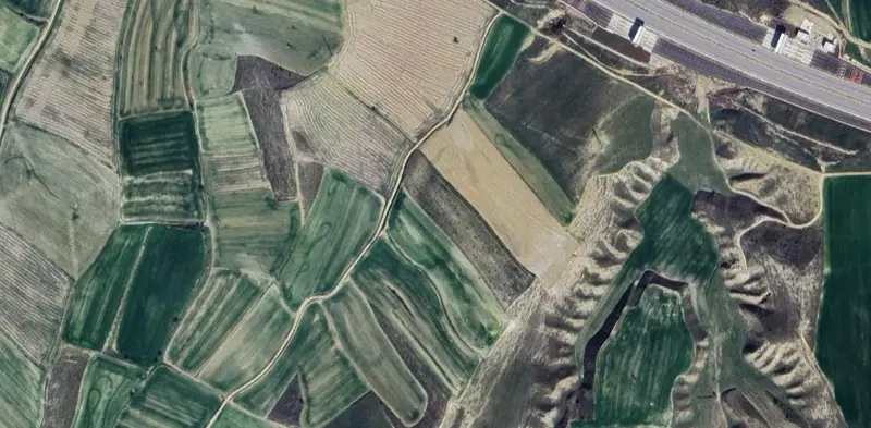 1693.jpg