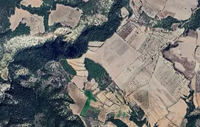 Haytabey Mah., Satılık, Tarla