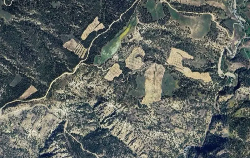 Güzelpınar Mah., Satılık, Tarla, 16.852 m² — fotoğraf 2